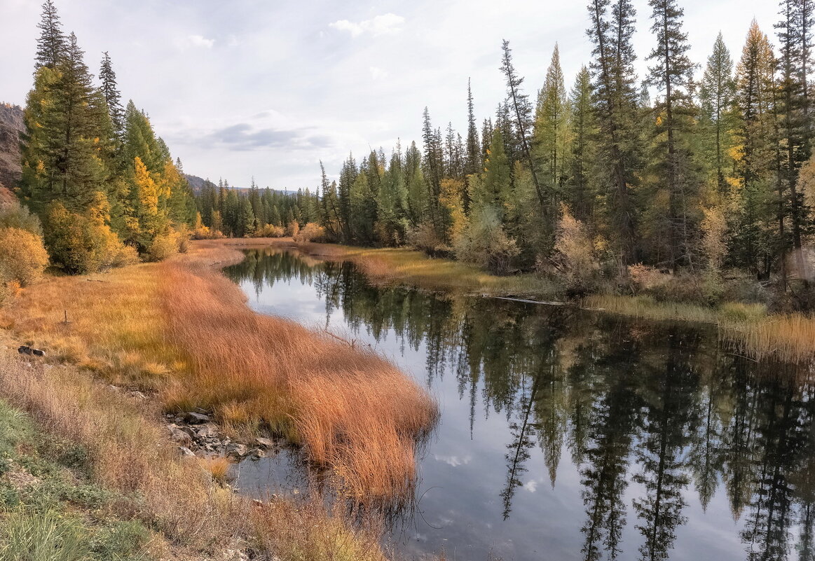 Тихое утро - Марина Фомина.
