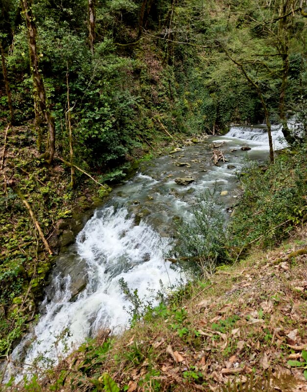 ОРЕХОВКА - Tata Wolf