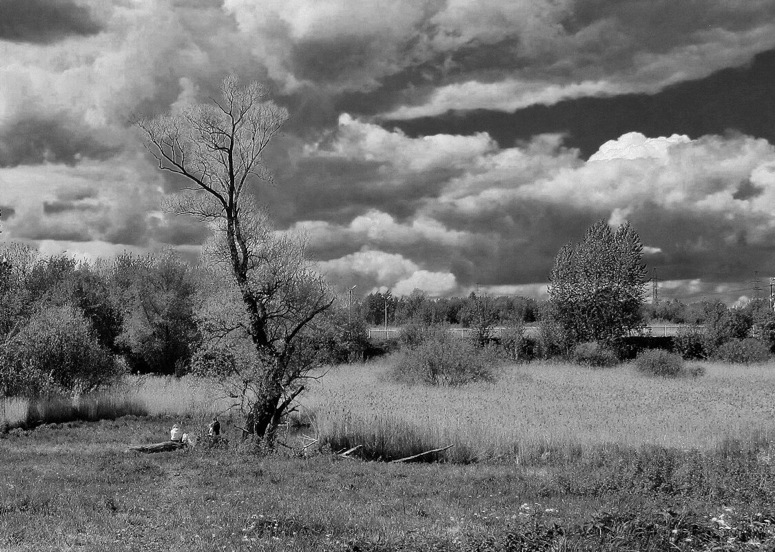 ..кажется дождь собирается... - galalog galalog ..кажется дождь собирается... - galalog galalog