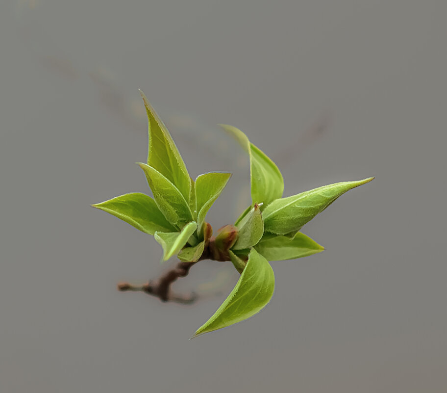 ... - Николай 