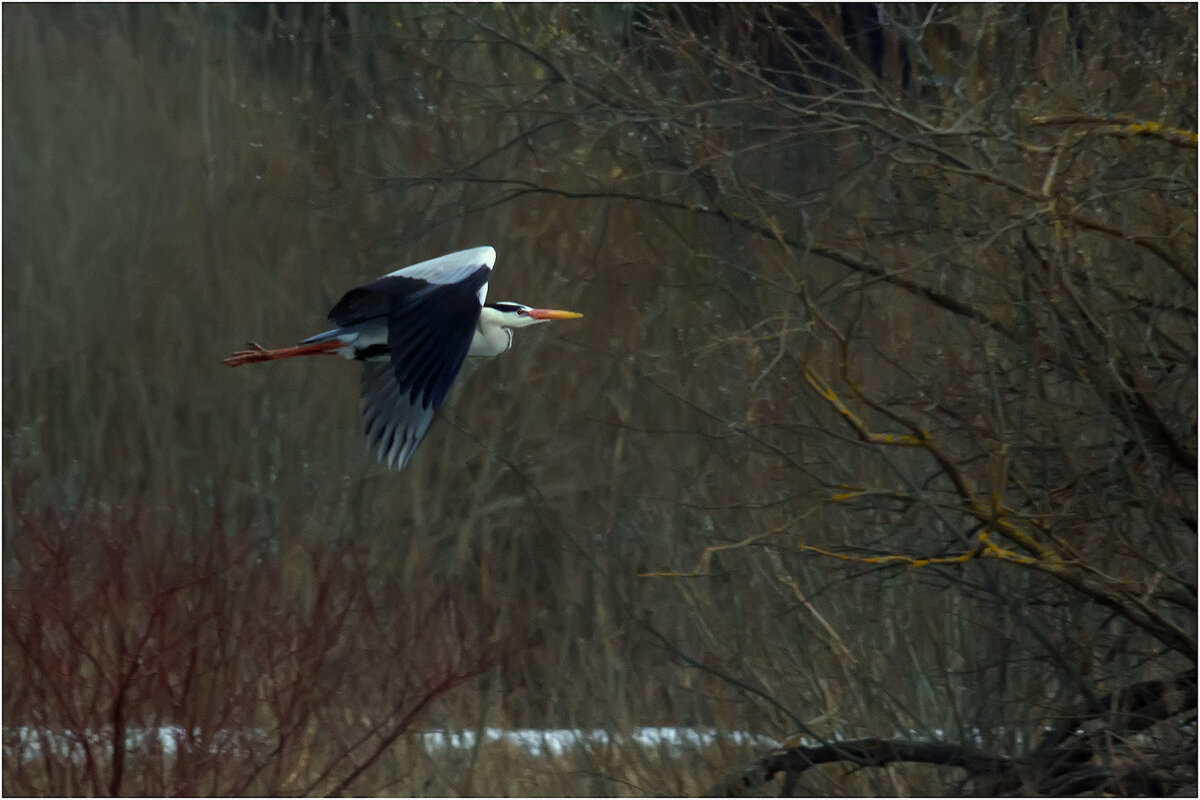 Облёт владений - Валентин Котляров