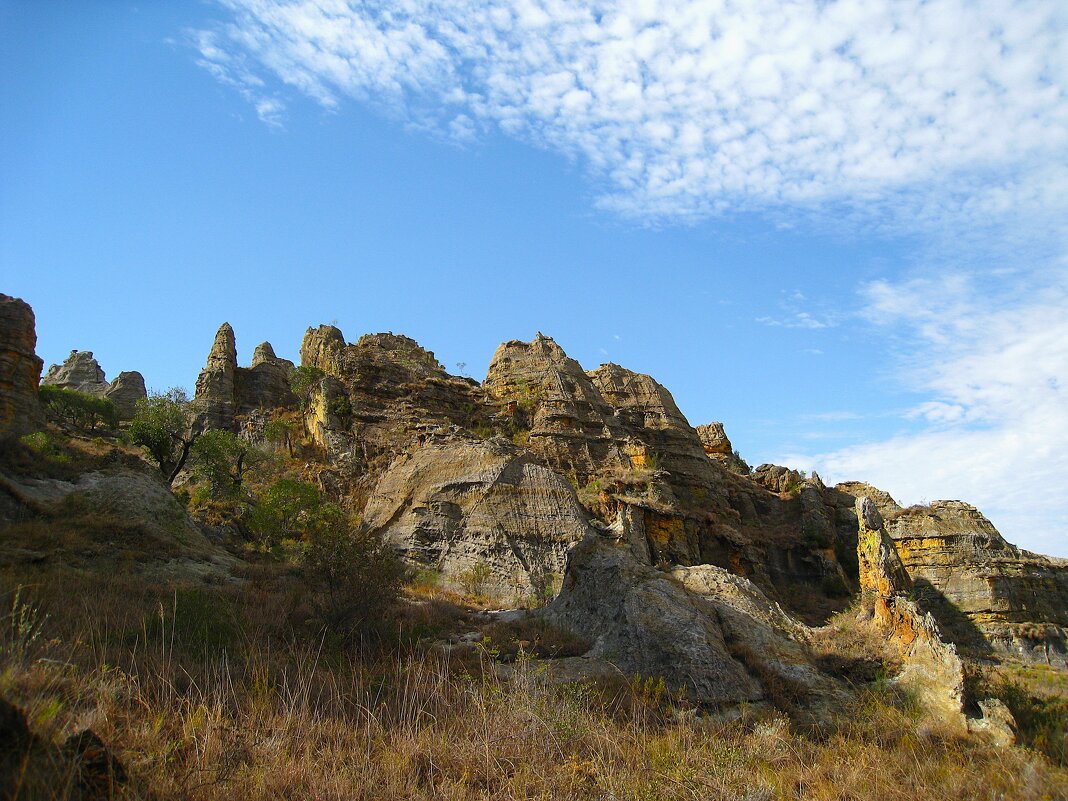 Кусочек скалистого Мадагаскара. - unix (Илья Утропов)