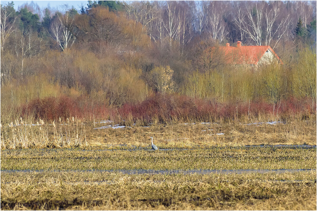 Весенний этюд - Валентин Котляров