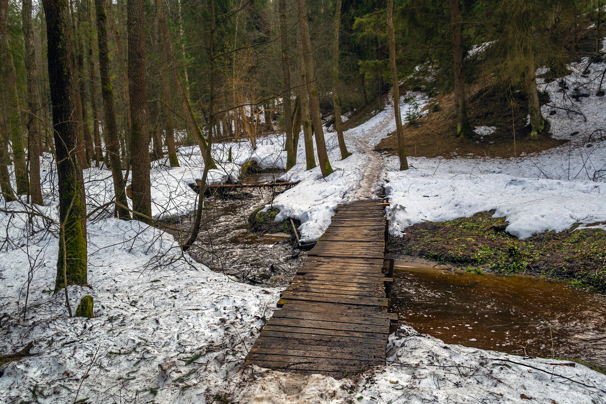 Мосток через ручей - Сергей Цветков