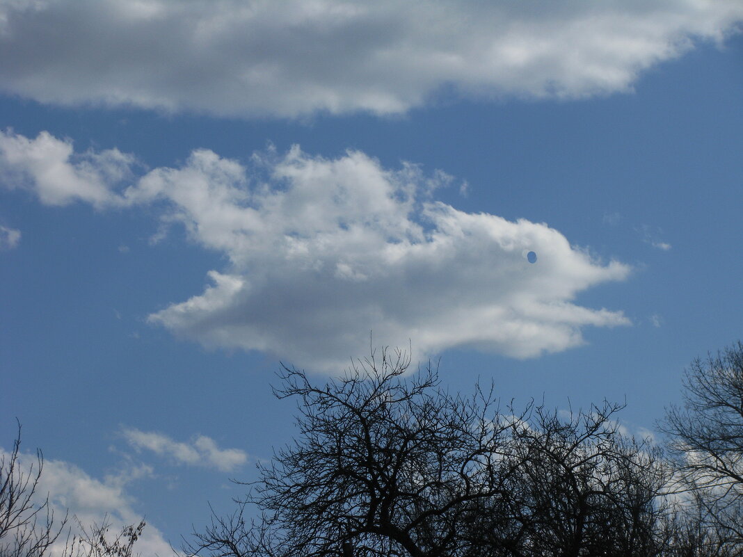 В полёте - Людмила Смородинская