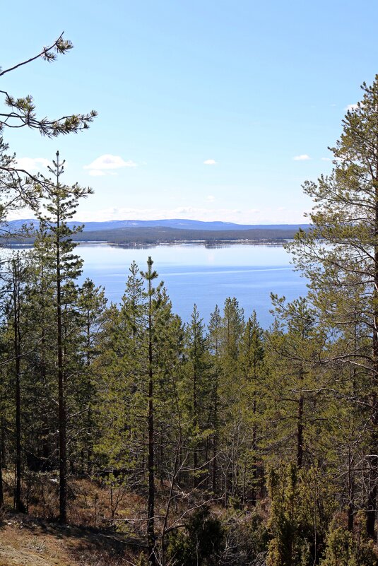 Весенние краски - Ольга Весенние краски - Ольга