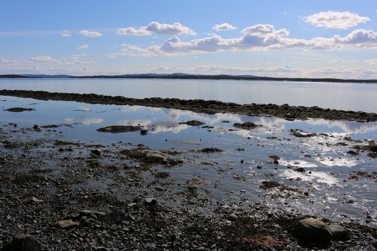 Облачная литораль - Ольга Облачная литораль - Ольга