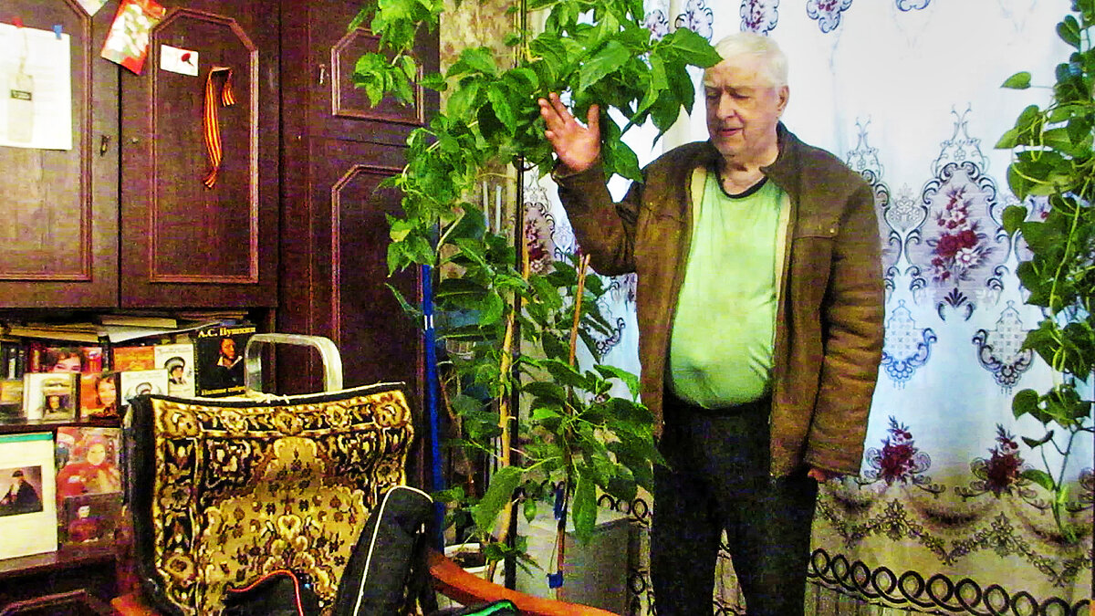 Утро...За окном минус 16 С.... - Владимир 