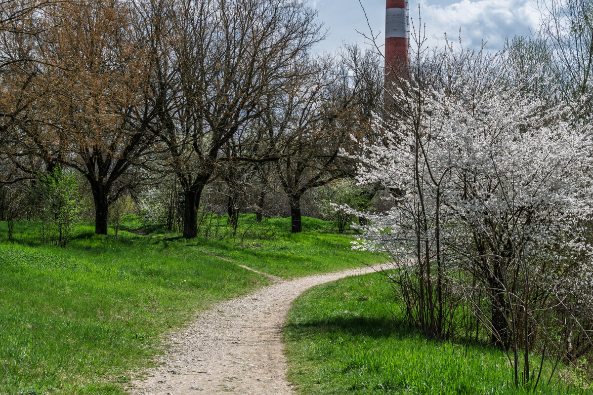 Апрель - Игорь Сикорский Апрель - Игорь Сикорский