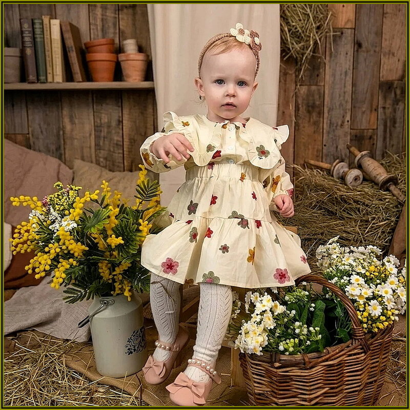 Последние указания фотографу - Ольга Довженко