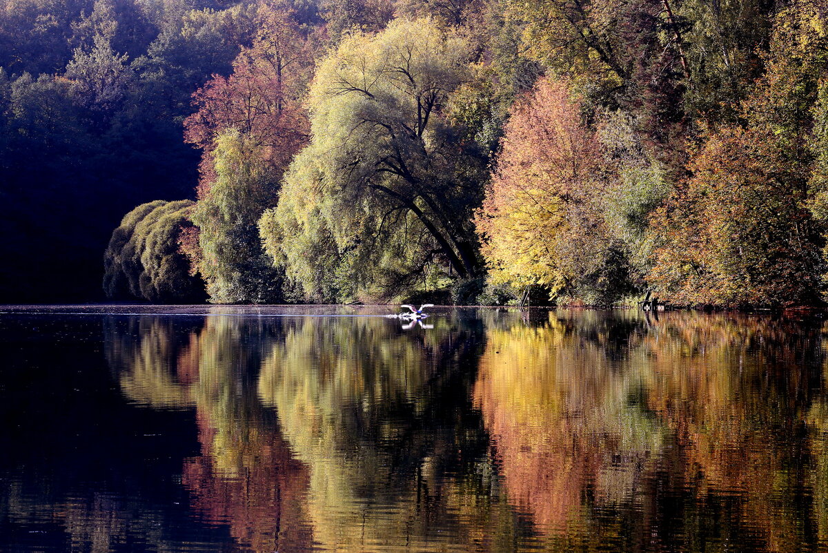 Царицыно 1 октября - Михаил Бибичков Царицыно 1 октября - Михаил Бибичков