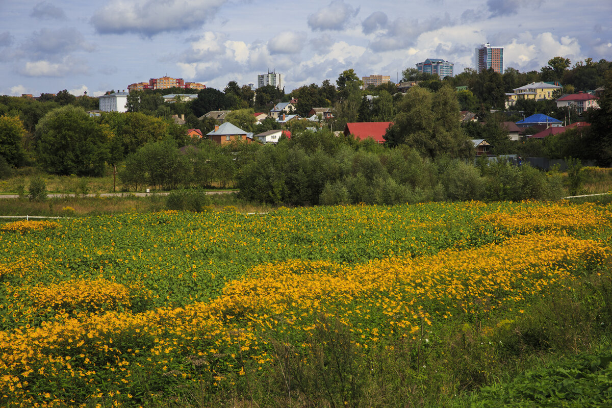 Старый  Серпухов - Владимир Гришин