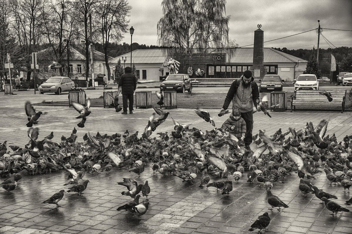 Боровск - Владимир Гришин Боровск - Владимир Гришин