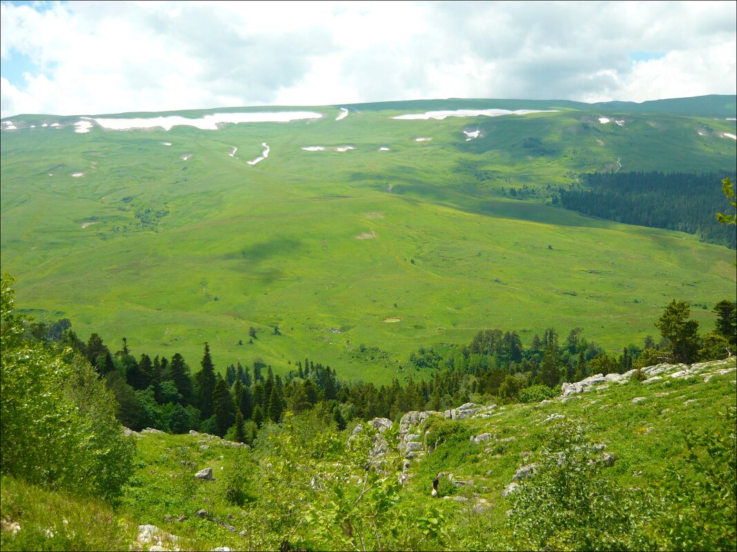 А снится нам трава, трава у дома! Зелёная, зелёная трава! - Надежда 