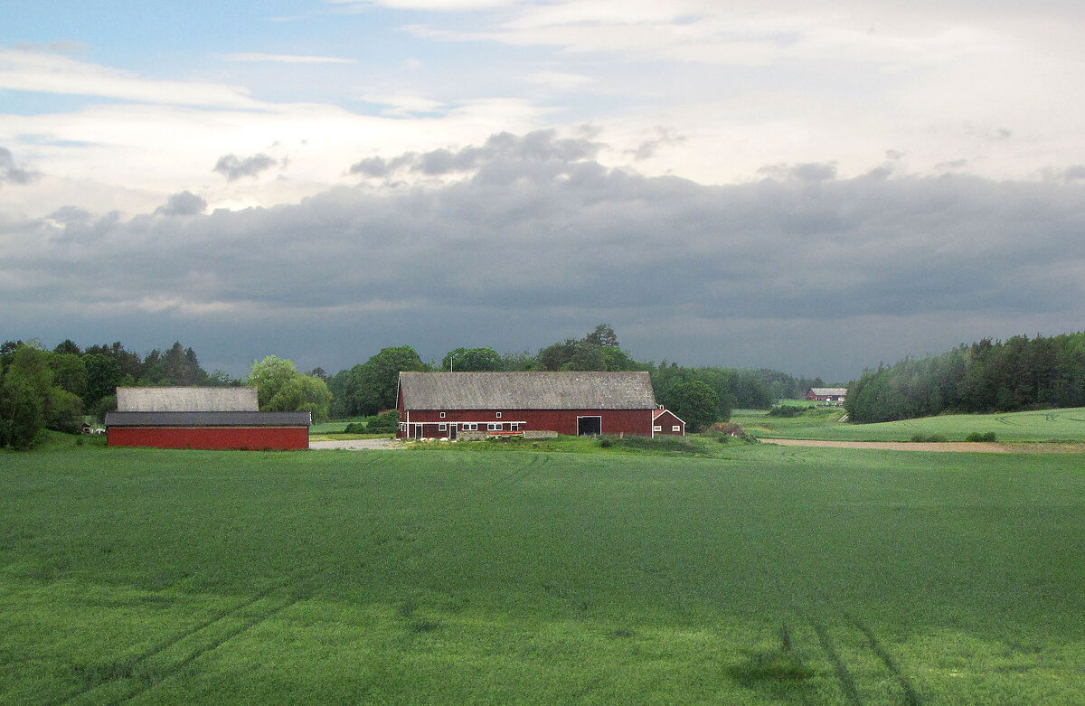 Ферма Лота - Александр Ильчевский Ферма Лота - Александр Ильчевский