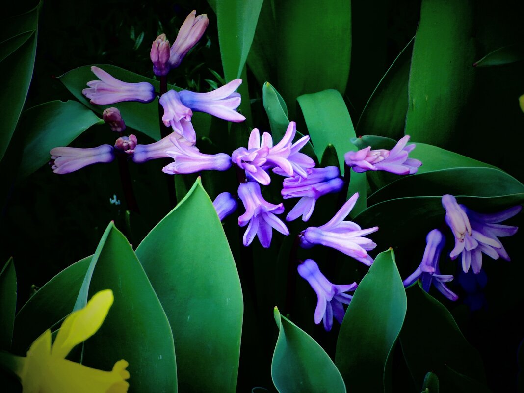 ВЕСЕННИЕ ЗАРИСОВКИ-2 - Елена Куприянова 