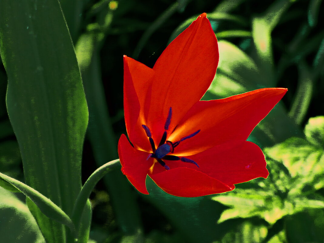 ВЕСЕННИЕ ЗАРИСОВКИ -4 - Елена Куприянова 