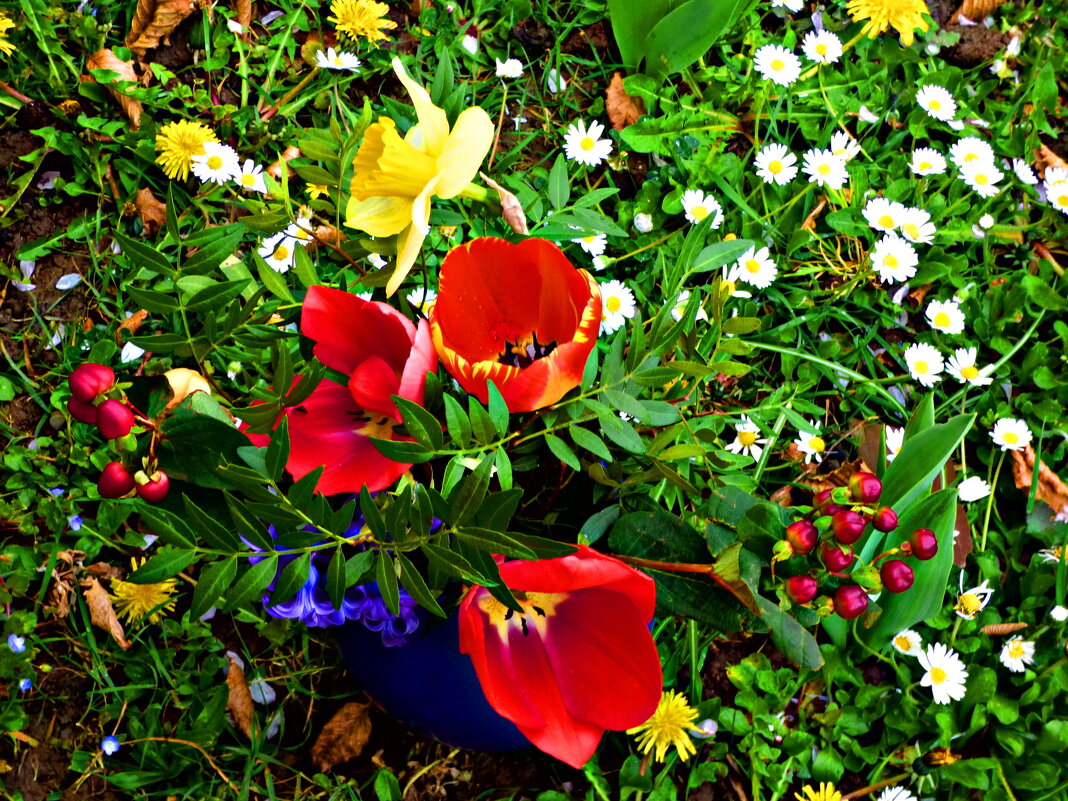 ВЕСЕННИЕ ЗАРИСОВКИ-5 - Елена Куприянова 