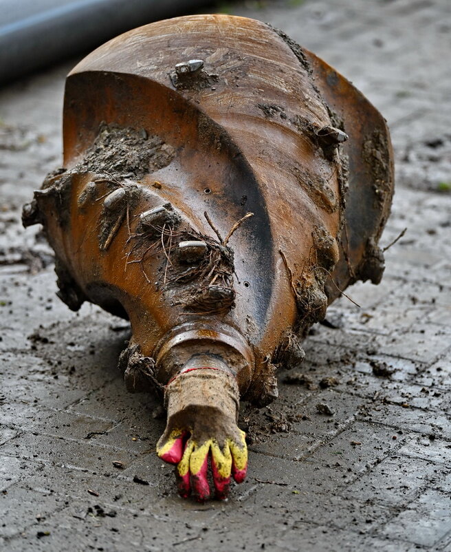 * * - Мечтатель *