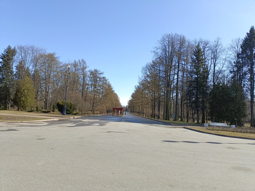 Весна - Митя Дмитрий Митя