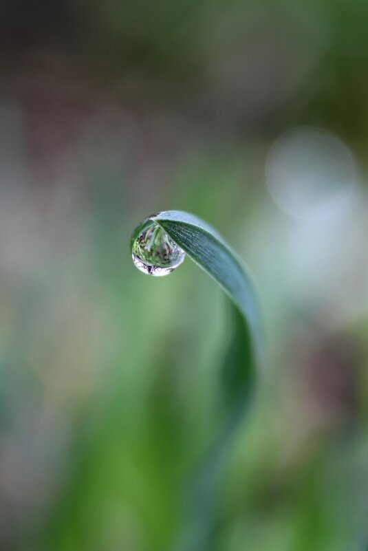 Капелька - Tina Kott