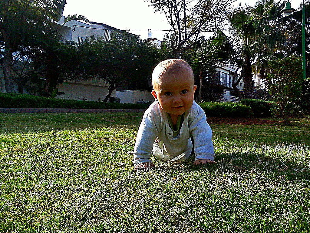 ОБЩЕНИЕ   С   ПРИРОДОЙ - Анатолий Малобродский