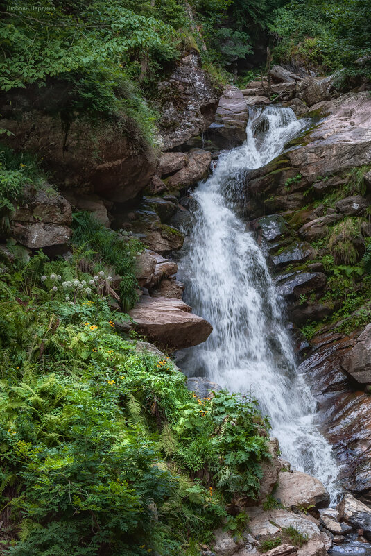 На тропе Менделиха - Любовь Нардина