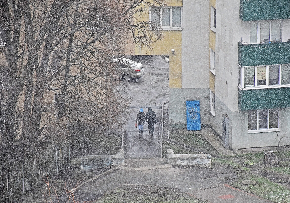 Весенняя... зима! - Валентина Нефёдова Весенняя... зима! - Валентина Нефёдова