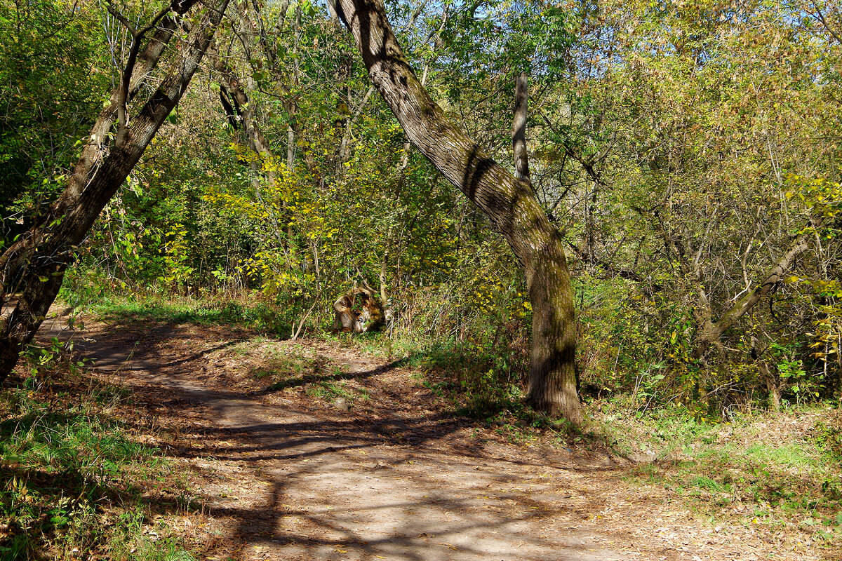 Кузьминский парк - Игорь Белоногов