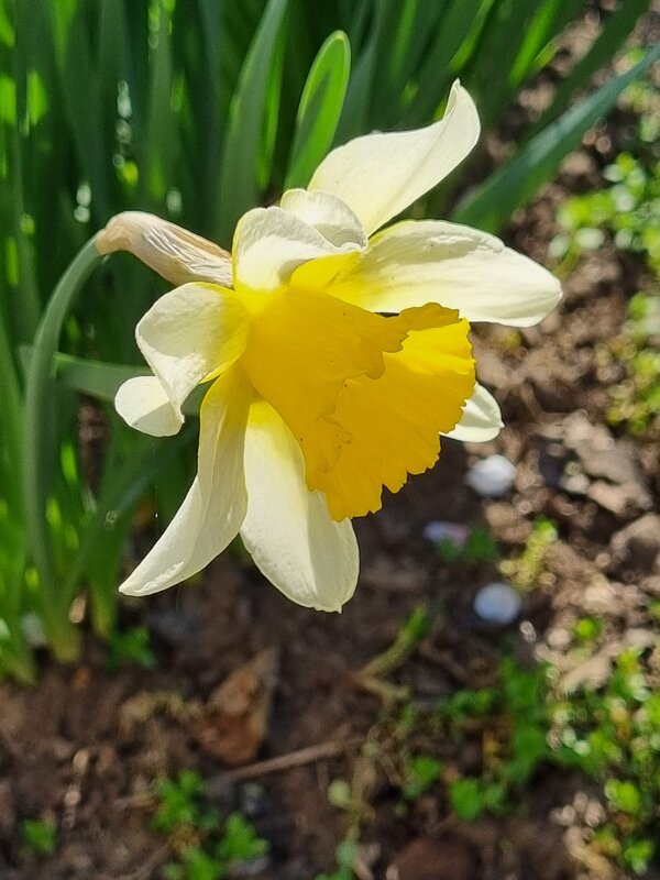 Солнечное утро - Наталья 