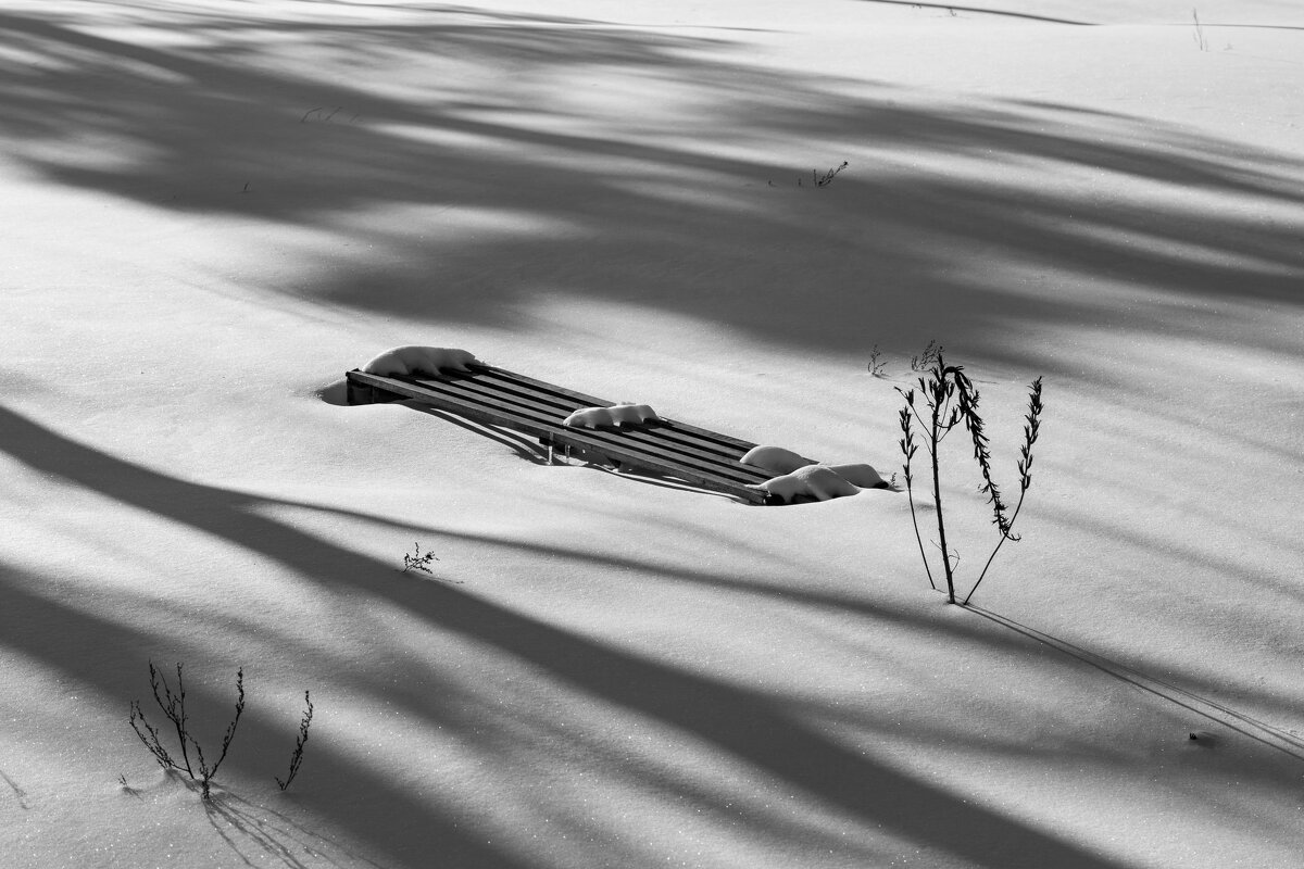 Мартовские тени. - Сергей Татаринов