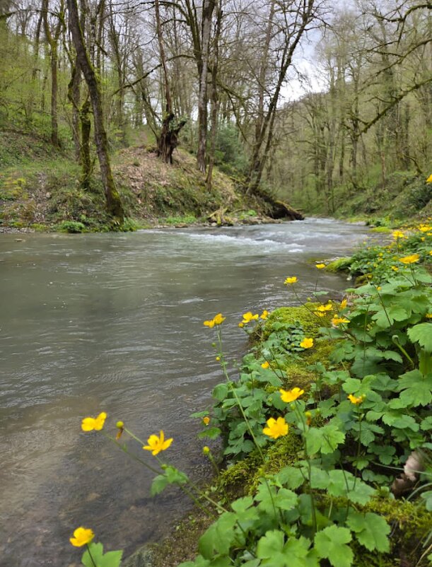 Река Бешенка - Tata Wolf