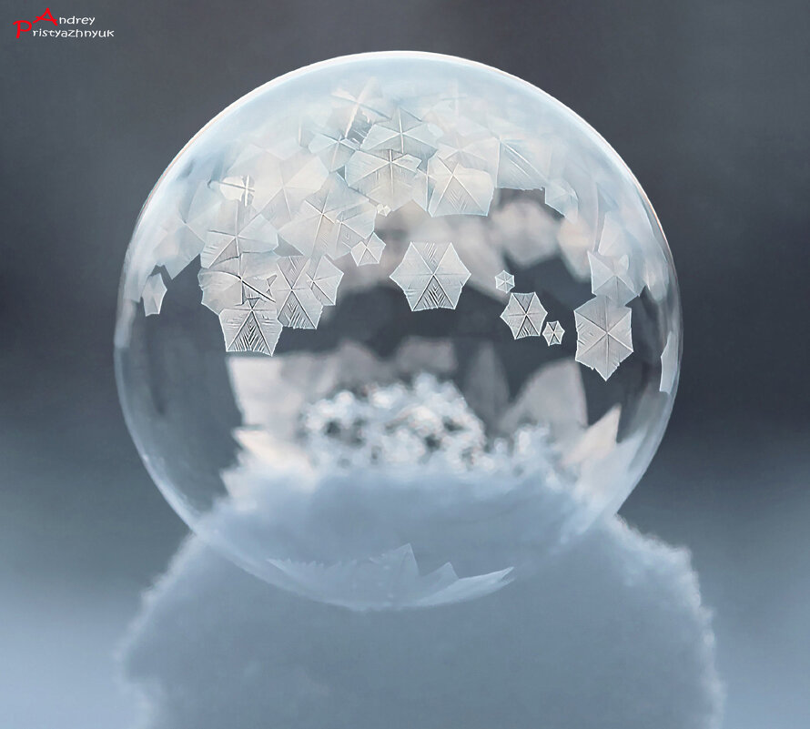 шарик - Андрей Пристяжнюк