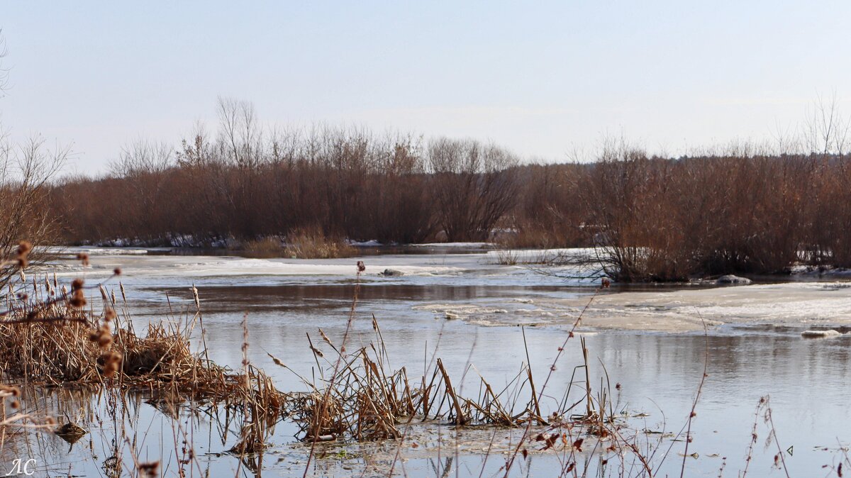 Веснв пришла - Любовь Сахарова