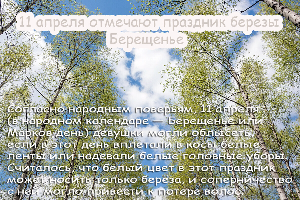 С днём берёзы! - Валерий Иванович