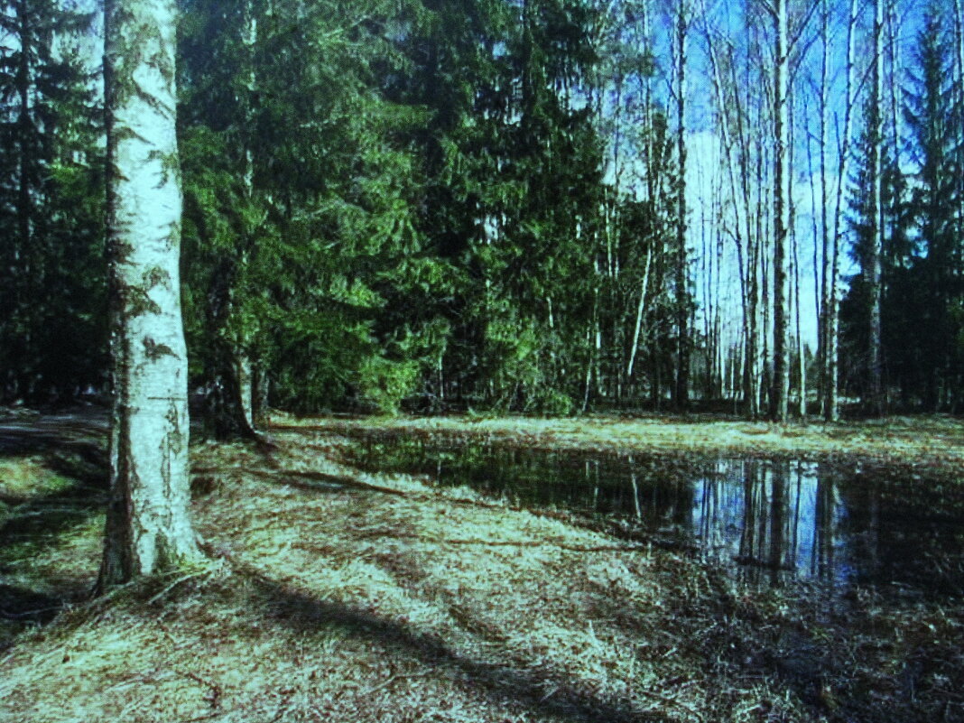 В лесу - Людмила Смородинская