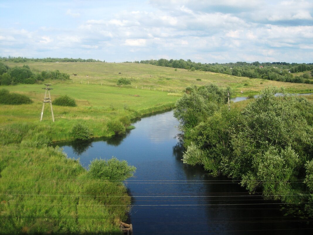 д.Белошкино, вид с моста на пастбище - Артем 