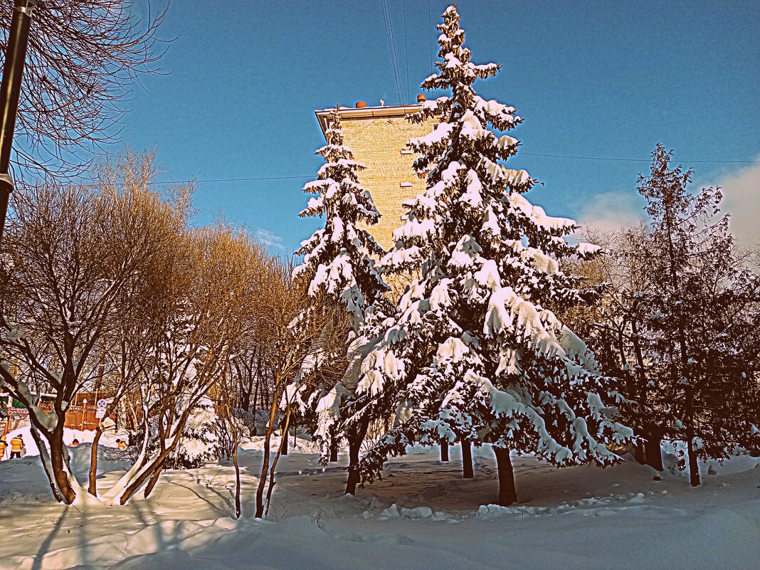 Зима. - Владимир Драгунский Зима. - Владимир Драгунский