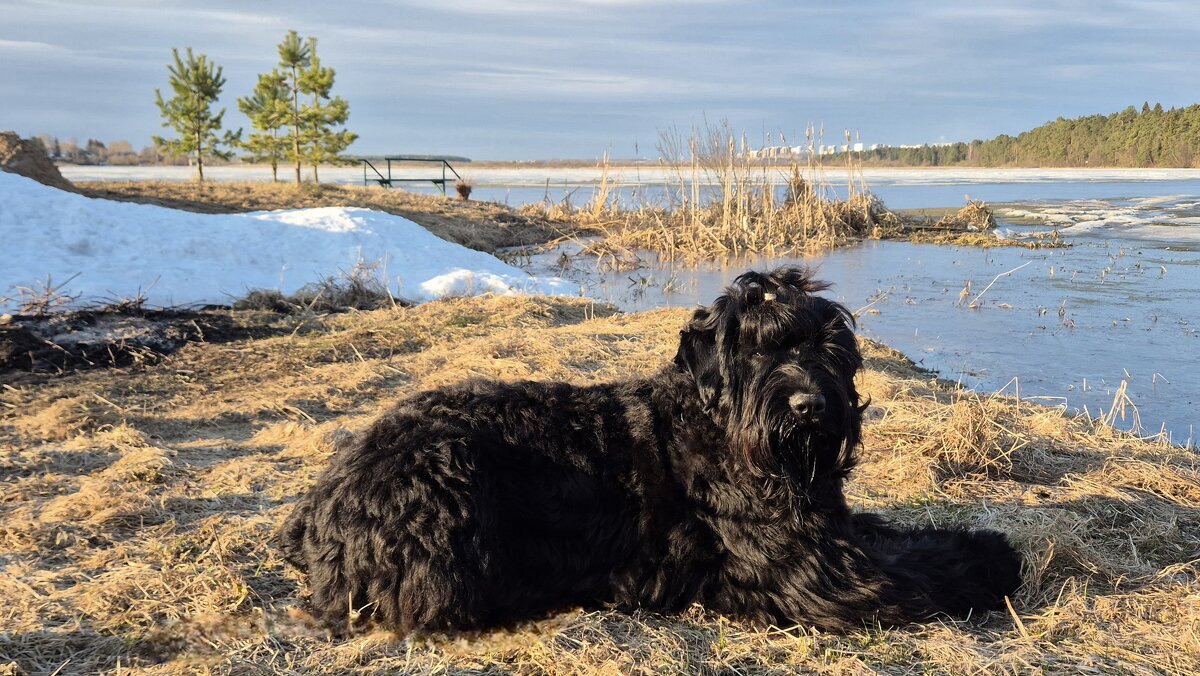 Стоп кадр - Надежда Шубина