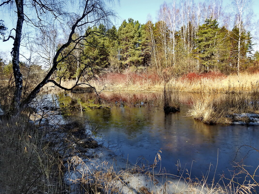 весенние зарисовки - ИННА ПОРОХОВА весенние зарисовки - ИННА ПОРОХОВА