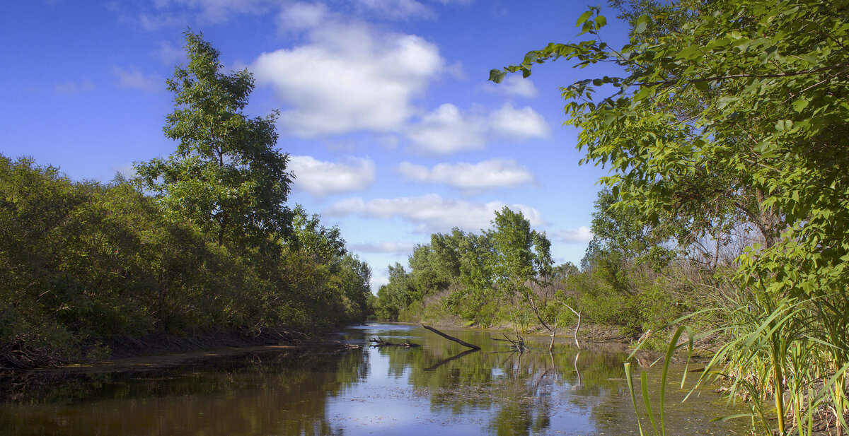*** - Александр. AVG100 ---