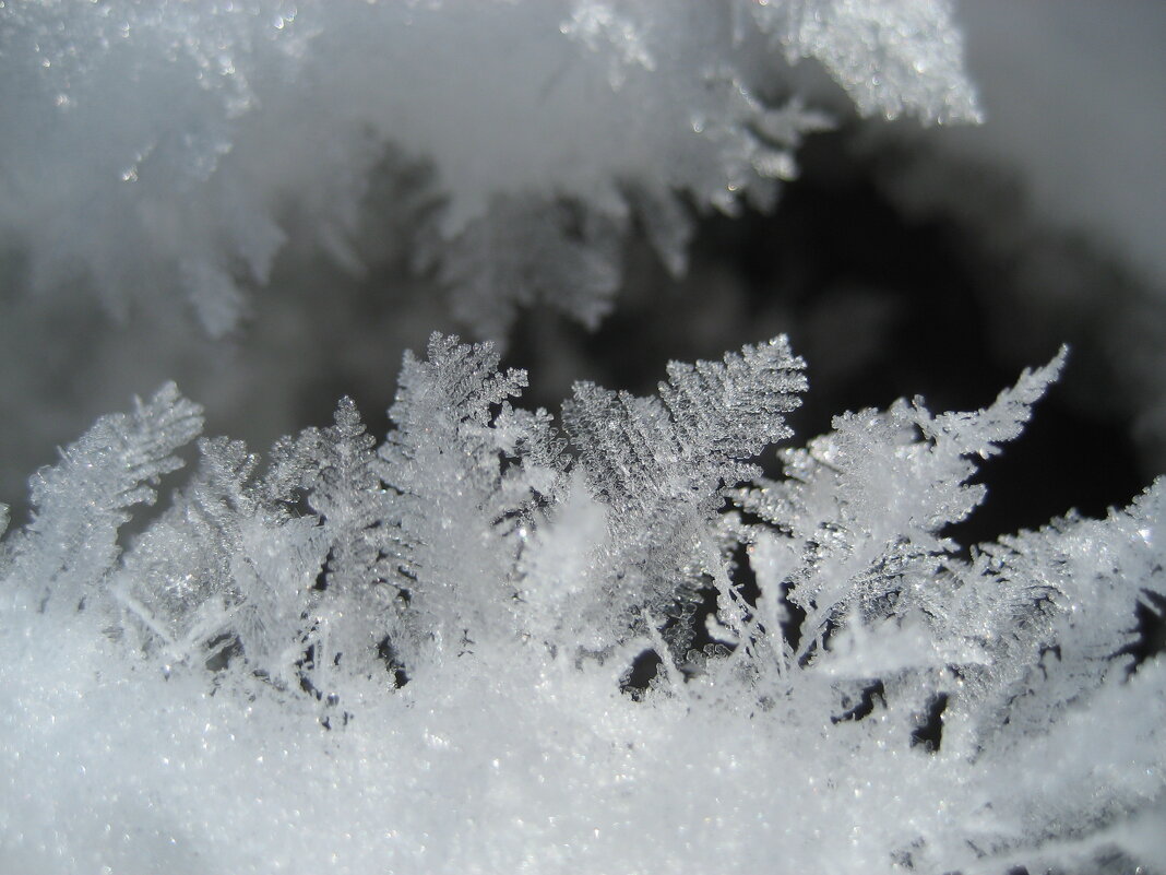 Подморозило - Anna Ivanova Подморозило - Anna Ivanova