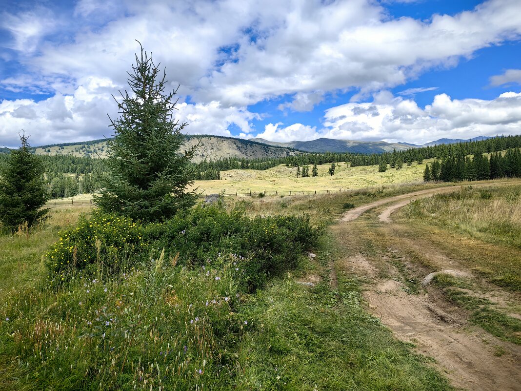 Дорога - Галина Козлова Дорога - Галина Козлова