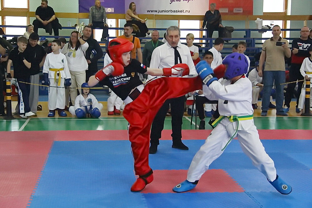 А high-kick (Из серии "Кикбоксинг против тхэквондо") - Владимир Насыпаный 