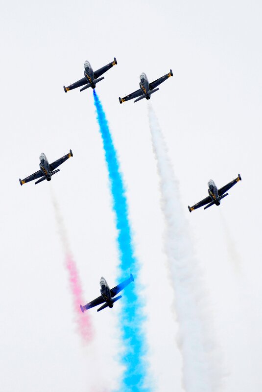 ... - Владимир Салапонов