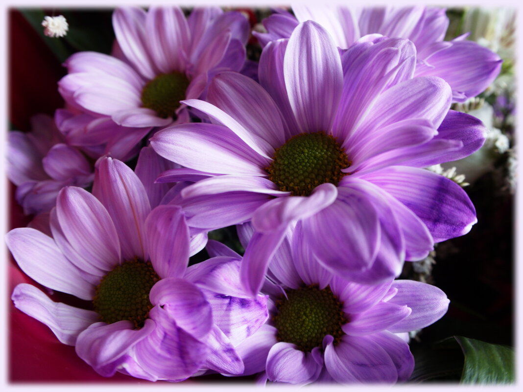 Подарок - marmorozov Морозова Подарок - marmorozov Морозова