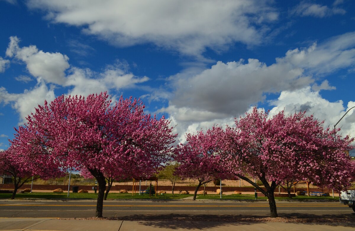 трасса 66 - Таня Фиалка трасса 66 - Таня Фиалка