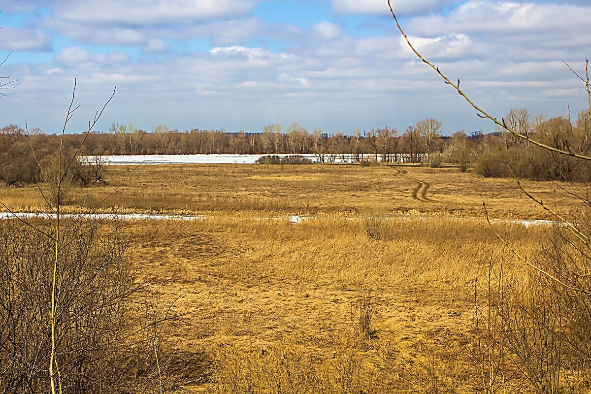 Всё  по плану,первые проталины на реке Чулым,весне быть - Владимир Кириченко
