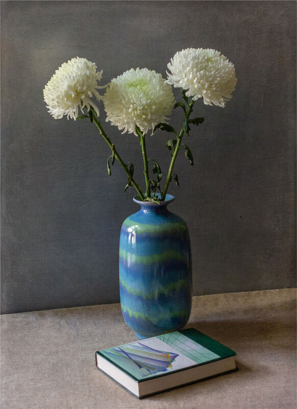 Хризантемы - Николай 