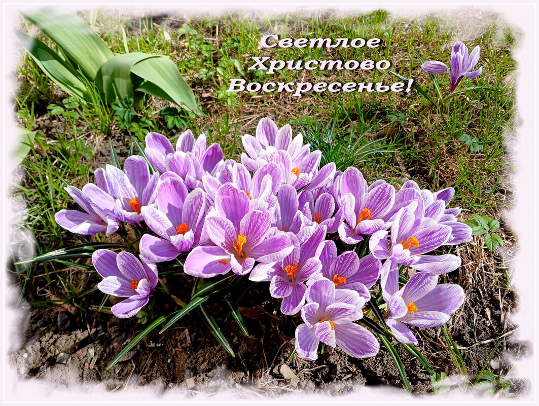 Доброе утро! Чудесного всем дня Воскресенья Христова! - Лия ☼ Доброе утро! Чудесного всем дня Воскресенья Христова! - Лия ☼